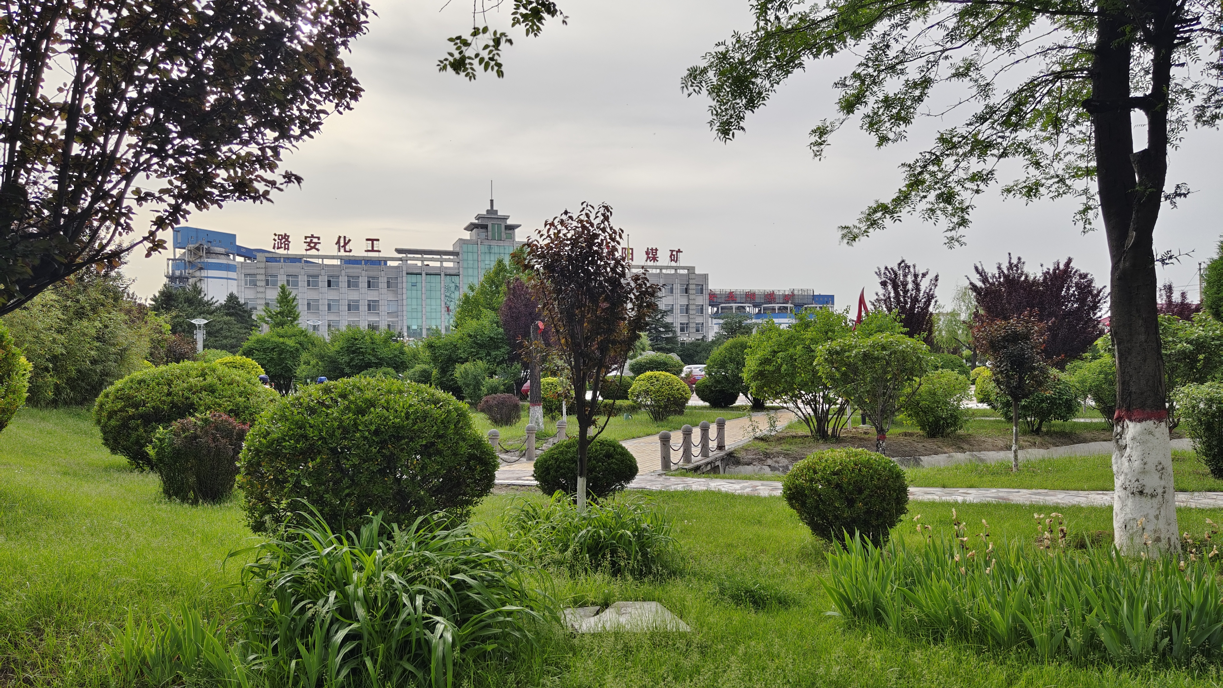 绿色五阳风景图